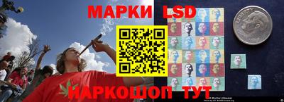 дживик Тверь