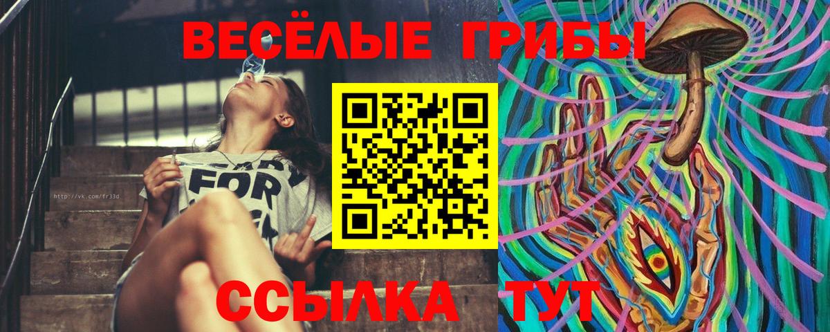 Нальчик  где купить   Вход с VPN  Псилоцибиновые грибы мицелий 