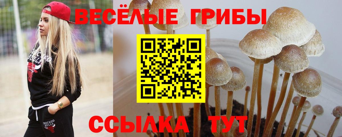 Псилоцибиновые грибы мухоморы Нальчик