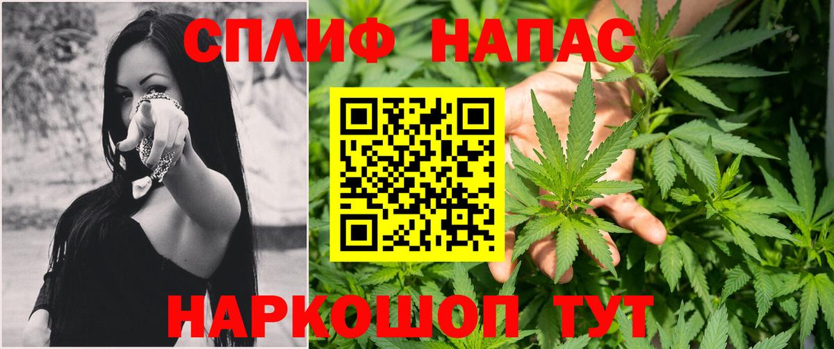 Конопля индика Нальчик